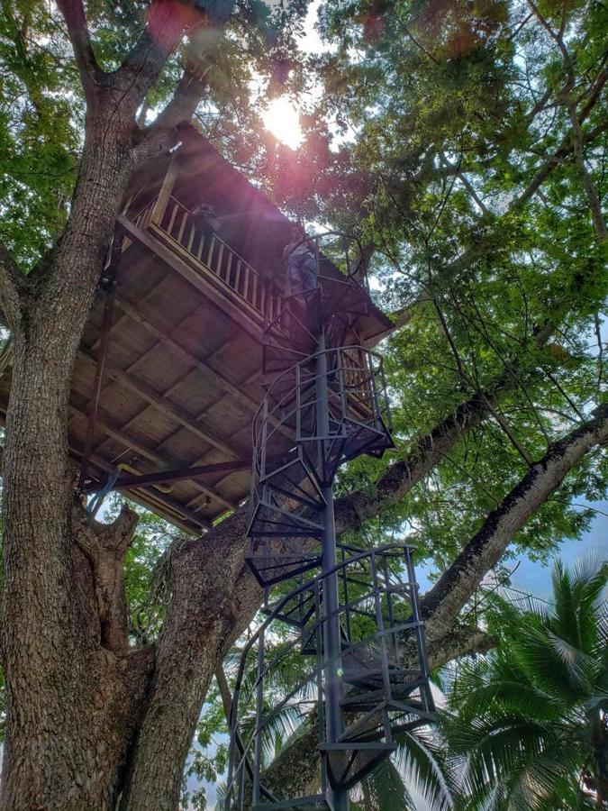 فيلا Casa En El Arbol Utica المظهر الخارجي الصورة
