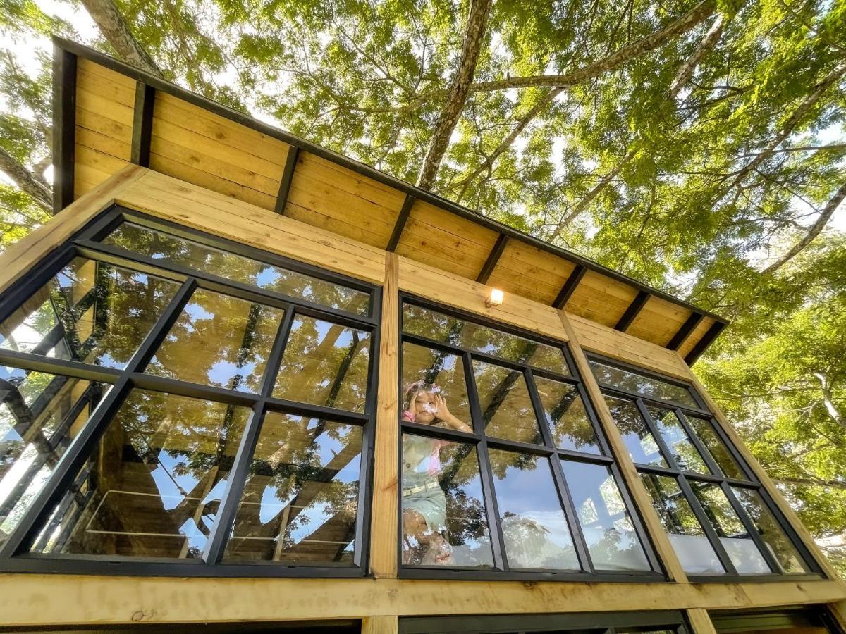 فيلا Casa En El Arbol Utica المظهر الخارجي الصورة