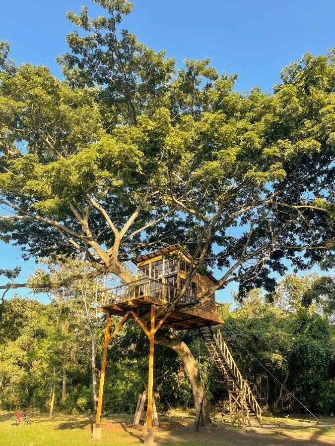 فيلا Casa En El Arbol Utica المظهر الخارجي الصورة