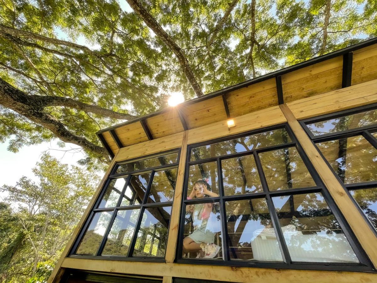 فيلا Casa En El Arbol Utica المظهر الخارجي الصورة