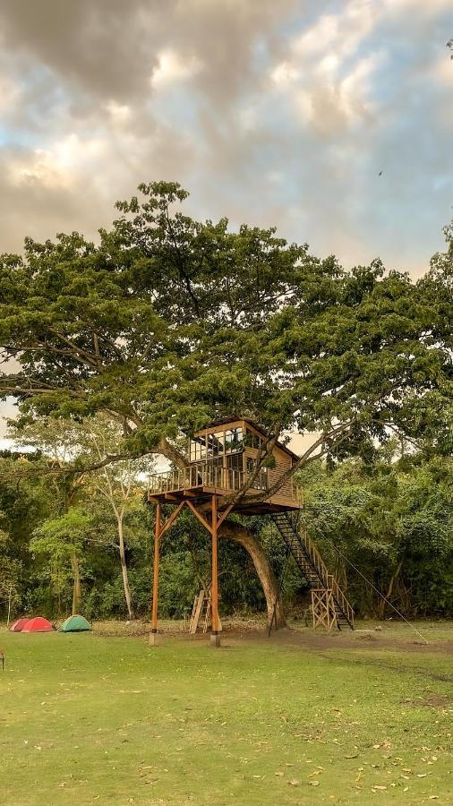 فيلا Casa En El Arbol Utica المظهر الخارجي الصورة